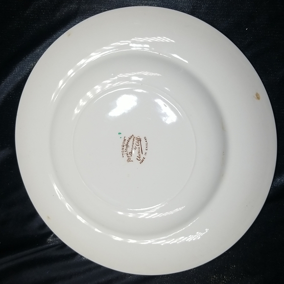 Royal Staffordshire Clarice Cliff Tonquin Brown MuliColor Dinner Plate - Picture 3 of 9